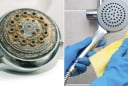 Mẹo làm sạch vòi sen đóng cặn bẩn: Đem ngâm trong thứ nước này là sạch như mới