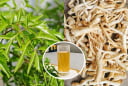 Tác dụng của nước rễ đinh lăng: Có 3 nhóm người không nên sử dụng