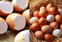 Công dụng tuyệt vời của vỏ trứng gà: Đừng vội vứt bỏ mà lãng phí