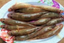 4 loại cá không thể nuôi nhân tạo, thịt bổ không tanh, thấy đừng tiếc tiền mua