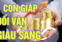 Lộc Lá Về Muộn sau tuổi 40, 3 con giáp Tiền Đẻ Ra Tiền, dư dả ăn tiêu