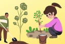 Trồng 5 loại cây ăn quả này trong nhà: Tốt phong thủy, Tăng Sức khỏe,Hoa đẹp quả ngon, trồng ngay kẻo tiếc