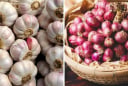 Cách bảo quản hành khô, tỏi khô cả năm không hỏng, không thối hay mọc mầm