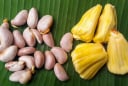 Hạt mít giàu dinh dưỡng: Ăn hạt mít, cơ thể nhận được 3 lợi ích tuyệt vời