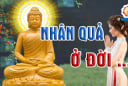 3 dấu hiệu của người đang phải trả nghiệp, Hạn đến - Phúc đi, làm gì cũng khó