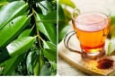Nước vối cực tốt nhưng lại 'đại kỵ' 1 thứ, uống vào chỉ càng thêm bệnh
