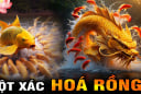Từ 13/8 đến 31/8: 3 tuổi Vượt Vũ Môn Hóa Rồng, Tiền Đồ rực sáng, Giàu hơn Thần Tài