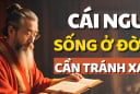 Đời người có 4 cái ngu: Bàn về cái ngu lớn nhất, bạn có mắc không?
