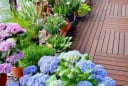 Xuất hiện 6 dấu hiệu phong thủy này, chứng tỏ nhà chung cư của bạn sắp hút vận may, gia chủ phát tài!