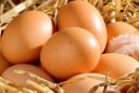 5 thời điểm ăn trứng vào sẽ thấy Hại hơn Lợi