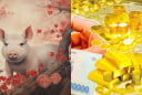 Càng cố gắng càng giàu: 4 con giáp sẽ xóa sạch nợ nần từ nay đến cuối 2025, vận may đỏ chót tận 2026
