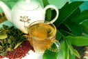 5 người tuyệt đối không uống nước lá ổi, càng uống càng sinh bệnh