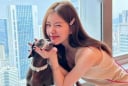 Nối gót Thùy Tiên: Nữ diễn viên nổi tiếng bị “xoá sổ” vì nghi vấn trục lợi livestream bán hàng
