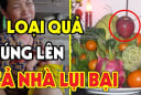 Những loại quả ngon ngọt, đẹp mắt nhưng rất kị thắp hương, là quả gì?