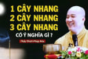 Thắp hương cúng tháng 7 Cô Hồn nên chọn 1, 3 hay 5 cây nhang mới đúng: Làm sai mất hết phúc lộc