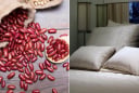 Tháng 7 cô hồn, có thờ có thiêng: Đặt 4 vật dưới gối, xui xẻo tránh xa, của cải tự đến