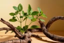 5 dấu hiệu cho biết, ngôi nhà của bạn đang vượng khí, hút tài lộc, bình an