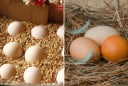 Không cần tủ lạnh, người xưa dùng 6 cách này để bảo quản trứng cả tháng vẫn tươi ngon