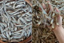 3 loại cá giàu omega-3, ít 'ngậm' thủy nhân, tốt không kém cá hồi, chợ Việt vừa nhiều vừa rẻ