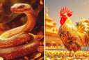 Tháng 9 đến tháng 12: 3 tuổi đón Cơn Mưa Tài Lộc, Tiền Rơi Trúng Đầu, Làm Ăn Thắng Đậm
