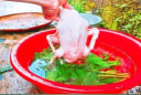 Thả nắm lá này vào vặt lông vịt: Sạch cả lông măng, vịt hết sạch mùi hôi thơm ngon cực phẩm