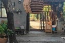 5 loài vật xuất hiện quanh nhà báo hiệu điềm xui, đừng vội mừng kẻo hối hận