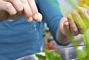 Luộc rau cho muối để xanh hóa ra sai lầm! Chuyên gia chỉ ra 5 thói quen nguy hiểm khi nấu rau