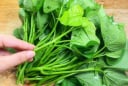 Loại rau từng là thức ăn cho lợn, nay được bán ở trời Tây giá hơn 1 triệu/kg