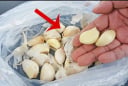 Mẹo bóc vỏ tỏi nhanh nhát, tay không bị bám mùi