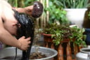 Gội đầu bằng 4 loại nước này giúp giảm rụng tóc, tóc con mọc lên không ngừng