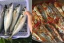 Loại cá “bình dân” mà bổ dưỡng không ngờ, giàu omega-3 hơn cả cá hồi