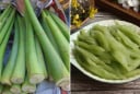 Ngâm dọc dùng với loại nước này, nấu chín vẫn giòn ngon, ăn không bị ngứa
