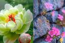 Top 3 ngày sinh âm lịch: Từ nghèo khó đến Thành Đạt tuổi trung niên, khi già vang danh giàu có