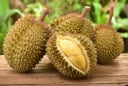 Bí quyết để chọn sầu riêng ngon nằm ở việc: chọn sầu riêng cái. Vậy làm sao để chọn được sầu riêng cái?