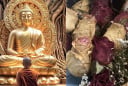 Người có 3 đặc điểm này Càng sống càng Bạc phúc, dù giàu có cũng dễ bi đát khi tuổi già