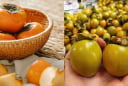 Hồng giòn vào mùa chín vàng ngon nhưng 6 người này nên hạn chế ăn kẻo phải cấp cứu