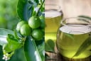 Cách dùng nước Lá Chanh: tiêu hóa tốt, thanh nhiệt thải độc lại giúp thư giãn, ngủ ngon