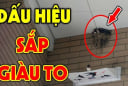 4 dấu hiệu nhà sắp trúng số giàu to
