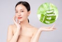 5 công thức làm đẹp từ nha đam tươi mà bạn có thể áp dụng một cách đơn giản nhưng hiệu quả