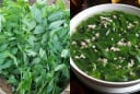 5 trường hợp nên Hạn Chế Ăn Rau Ngót
