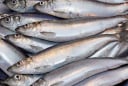 4 loại cá giàu omega-3 và canxi, rẻ hơn cá hồi, chợ Việt bán đầy - Đừng bỏ lỡ “báu vật sức khỏe” này