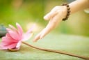 Tất cả những gì bạn cho đi, sẽ quay trở lại với bạn. Bạn có tin không?