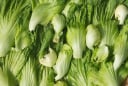 Chợ Việt có một loại rau giàu canxi gấp 8 lần cá, giá rẻ, dễ nấu nhưng nhiều người chưa biết