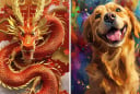 Từ 2/10 đến 20/10: 3 tuổi Tiền Hái Ra Tiền, Giàu Sang Bất Chấp