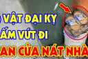 4 thứ trong nhà cũ hỏng cũng đừng dại vứt, giữ lại Vật Cũ - Lộc Bền