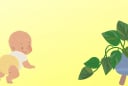 Nhà có con nhỏ, hãy cẩn trọng khi trồng 5 loại cây cảnh này