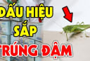 Nhà có dấu hiệu này sắp Trúng Đậm: Càng ở càng giàu có, 3 đời không hết phúc