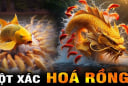 Top 4 con giáp Phá Kén Hóa Rồng, vươn lên hưởng phúc sau ngày 5/10