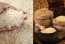 Vì sao người xưa khuyên đựng gạo trong thùng gốm vừa tốt sức khỏe vừa giữ phong thủy giàu có?