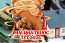 Lửa Thử Vàng: 3 tuổi vượt gian nan, Vươn Mình đón phú Quý sau 100 ngày